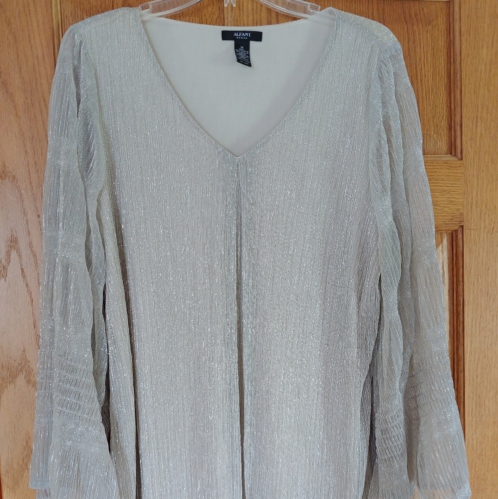 Sparkly silver top